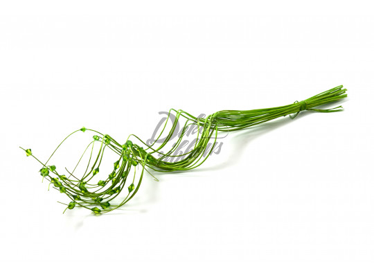 Curly willow 60 cm, s krystalem - zelená